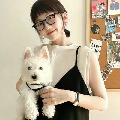 军犬麦斯2：白宫英雄